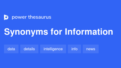 Information Synonym