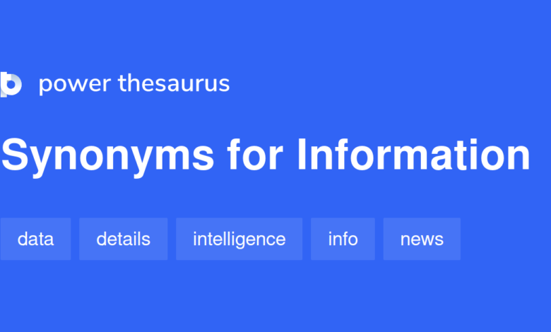 Information Synonym