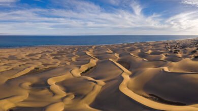 Maspalomas Dunes
