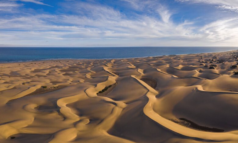 Maspalomas Dunes